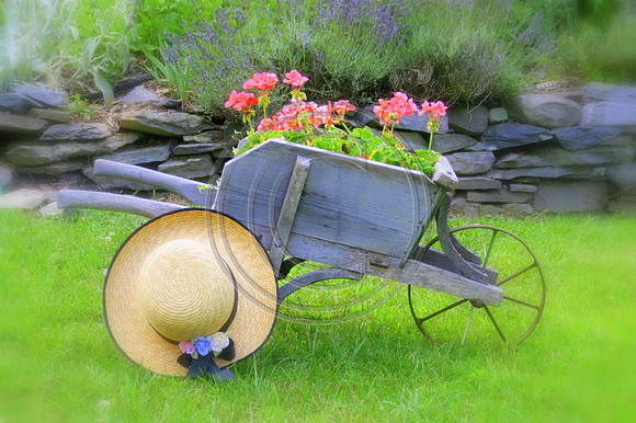 Summer Time Wagon