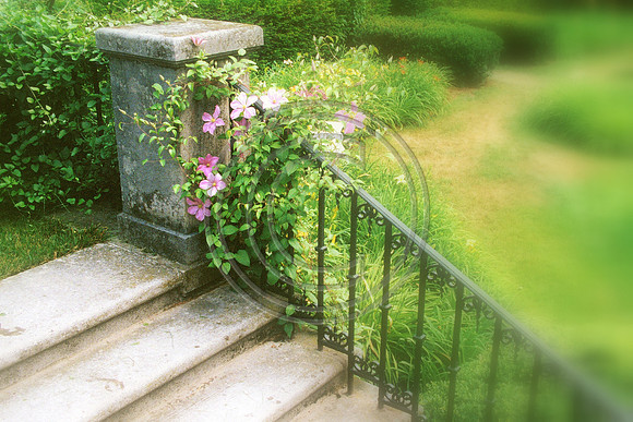 Secret Garden Steps