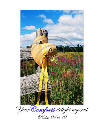 Your comforts delight my soul ~ Psalm 94 vs 9