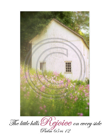The little hills rejoice on every side ~ Psalm 65 vs 12