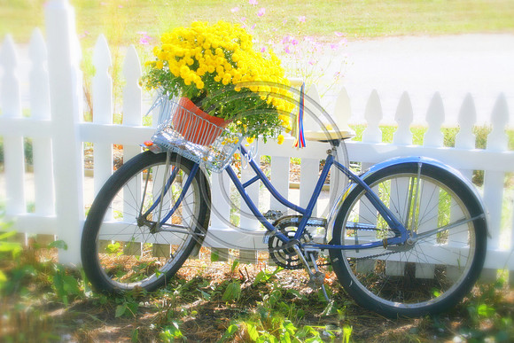 Summer time bike rides