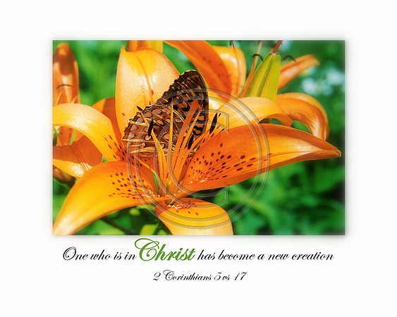 ~One who is in Christ has become a new creation~ 2 Corinthians 5 vs 17