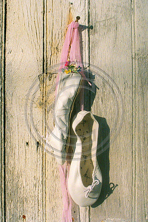 Ballet Slippers