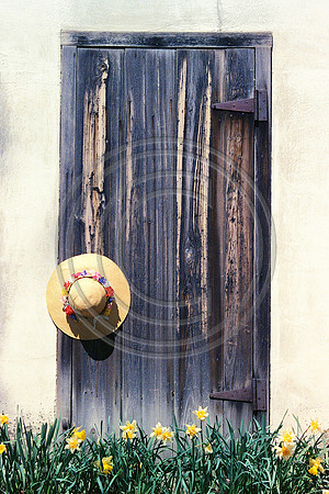 Springtime Door