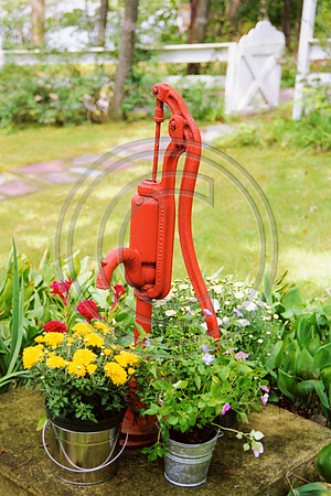 Red Water Pump
