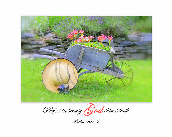 Perfect in beauty, God shines forth