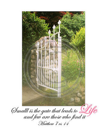 Small is the gate that leads to life, and few are those who find it Matthew 7 vs 14