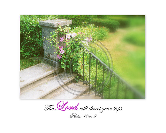 ~The Lord will direct your steps~  Proverbs 16 vs 9